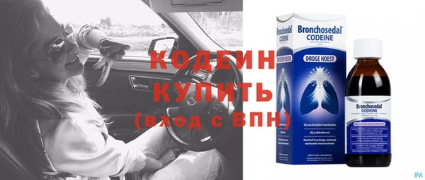 прущий лед Алзамай