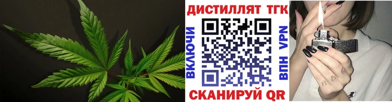 наркошоп  Ртищево  ТГК концентрат 