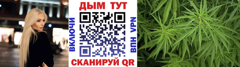 как найти наркотики  Ртищево  Бошки марихуана индика 